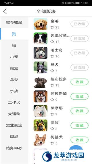 宠物之家