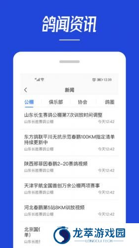 青鸽网