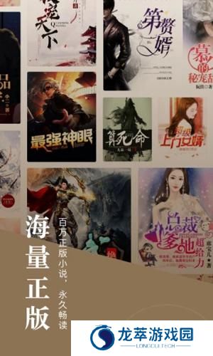 红果小说