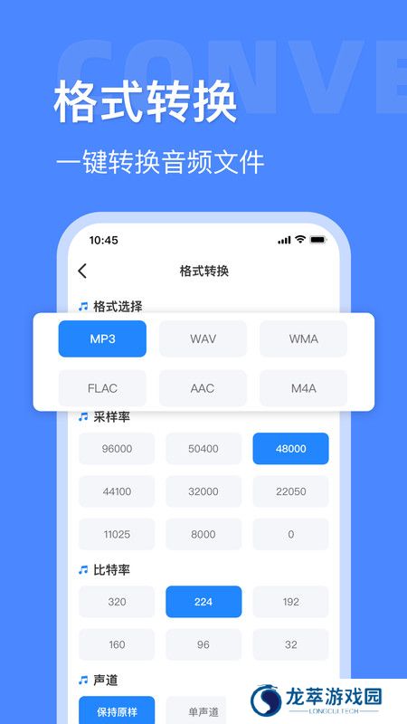 音频大师