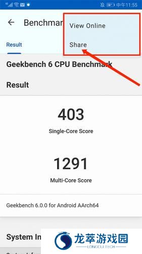 Geekbench6