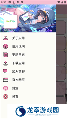 HookVip模块