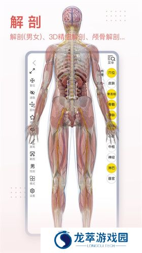 3DBody解剖免费版