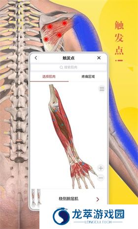 3DBody解剖免费版