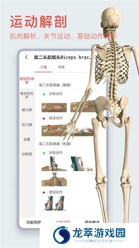 3DBody解剖免费版