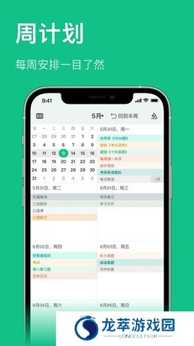 飞鱼专注