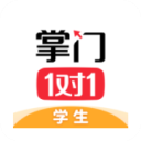 掌门1对1
